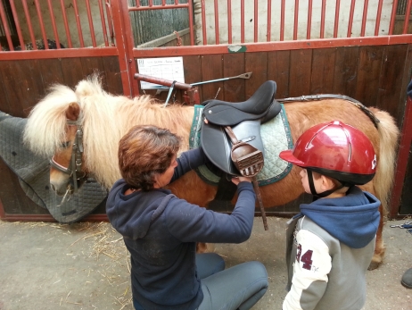 chevalerie-poney