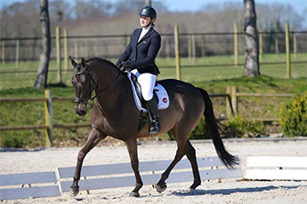Dressage