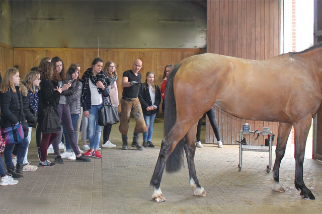 sports études cours