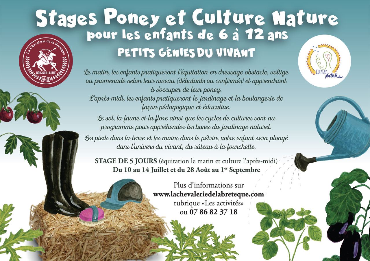 Stages poney culture nature