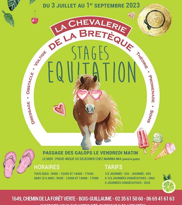 Stage d’équitation – Vacances d’été 2023