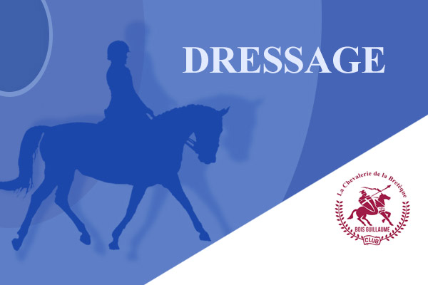 DRESSAGE AMATEUR CLUB ET PONEY – LA CHEVALERIE – 19/11/23