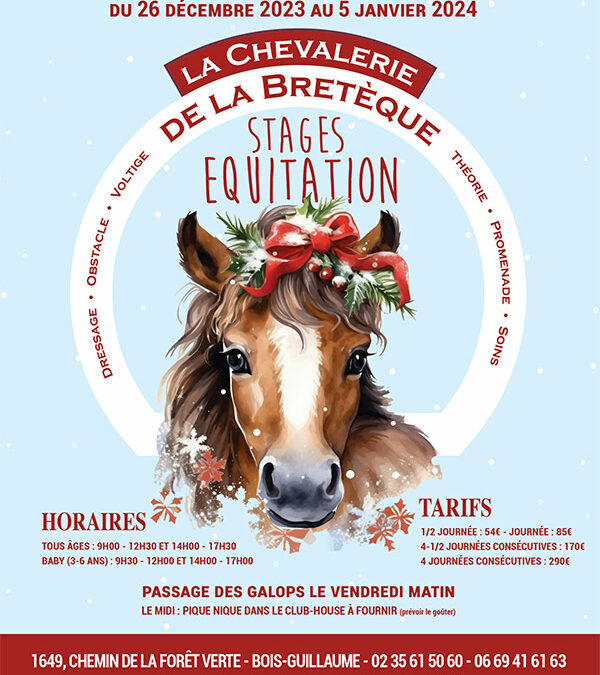 Stage d’équitation – Vacances de Noël 2023