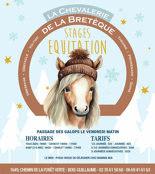 Stage d’équitation – Vacances d’hiver 2024