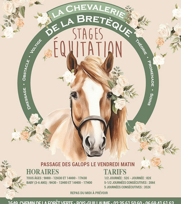 Stage d’équitation – Vacances d’été 2024