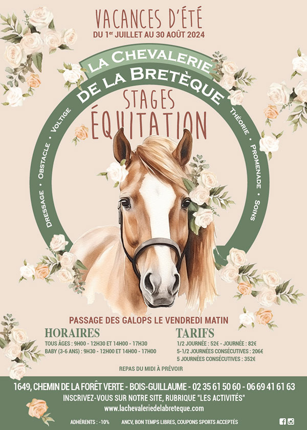 Stage d’équitation – Vacances d’été 2024