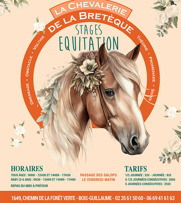 Stage d’équitation – Vacances de la Toussaint 2024