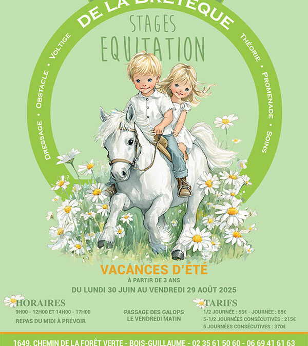 Stage d’équitation – Vacances d’été 2025