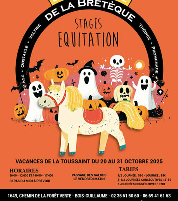 Stage d’équitation – Vacances de la Toussaint 2025