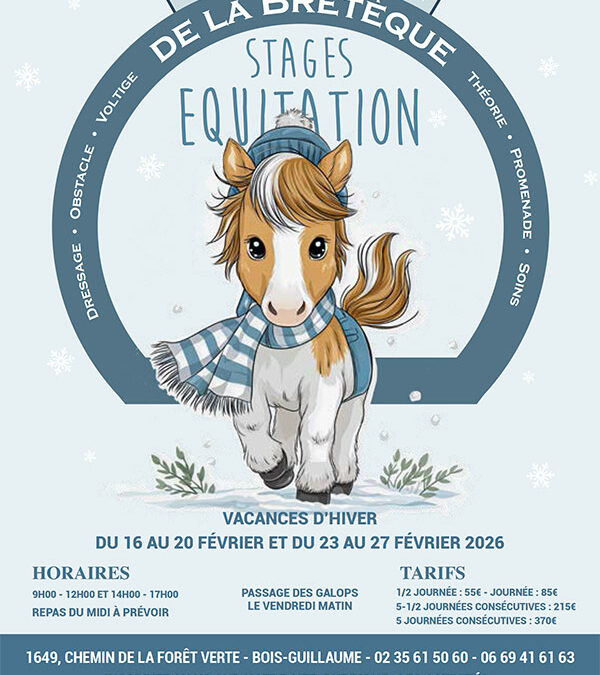 Stage d’équitation – Vacances d&rsquo;hiver 2026