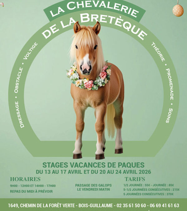 Stage d’équitation – Vacances de Pâques 2026